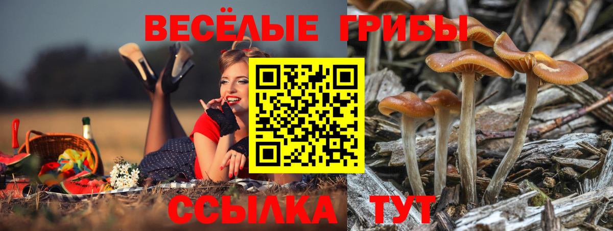 Псилоцибиновые грибы Magic Shrooms Реж